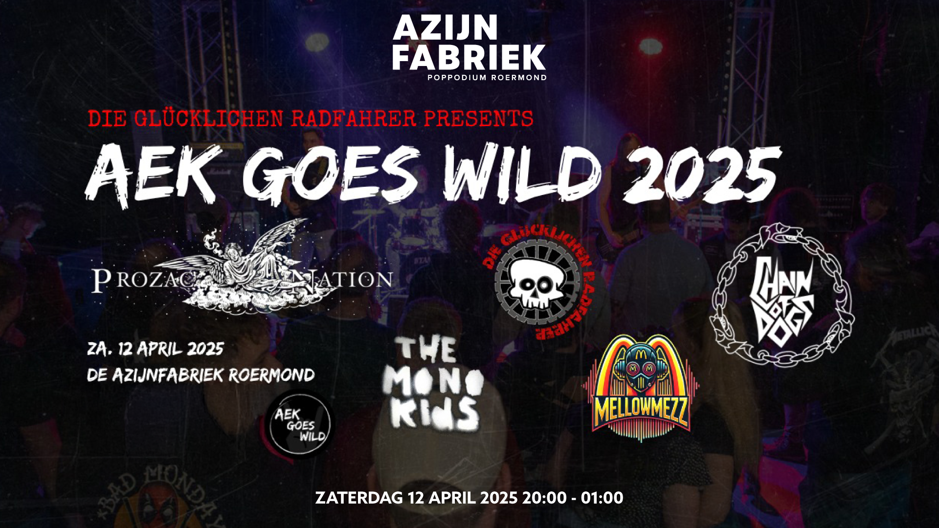 Azijnfabriek | Concert - Aek Goes Wild!